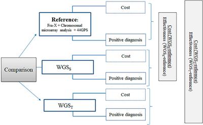 The Economic, Medical and Psychosocial Consequences of Whole Genome Sequencing for the Genetic Diagnosis of Patients With Intellectual Disability: The DEFIDIAG Study Protocol